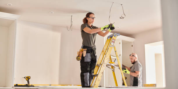Best Electric Panel Repair  in Holiday Shores, IL