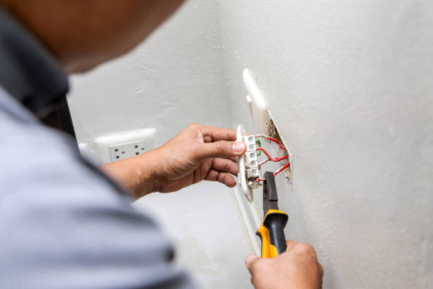 Best Electrical Troubleshooting Services  in Holiday Shores, IL